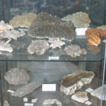 roznorodnosc form gipsu